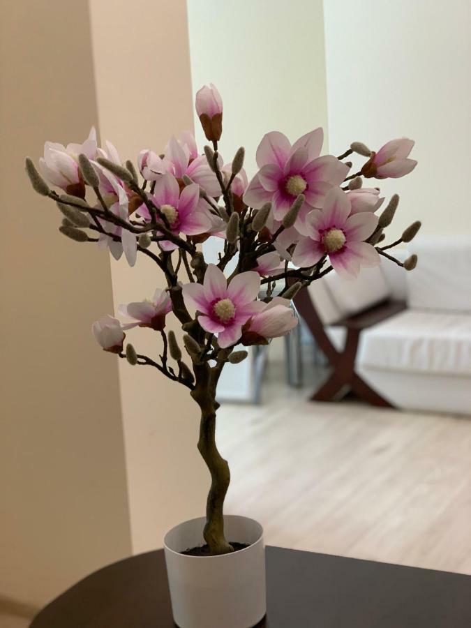 Apartament Marka Pila Bagian luar foto